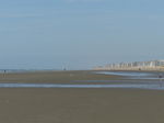 FZ015978 People on De Panne beach.jpg